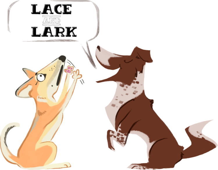 Dog Parks. The Good, The Bad, and becoming your dog's bodyguard. — Lace and  Lark