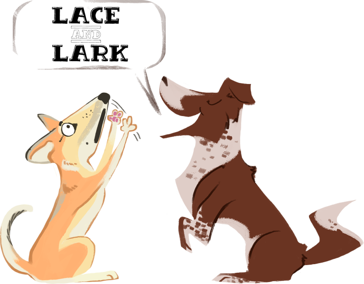 Lace and Lark