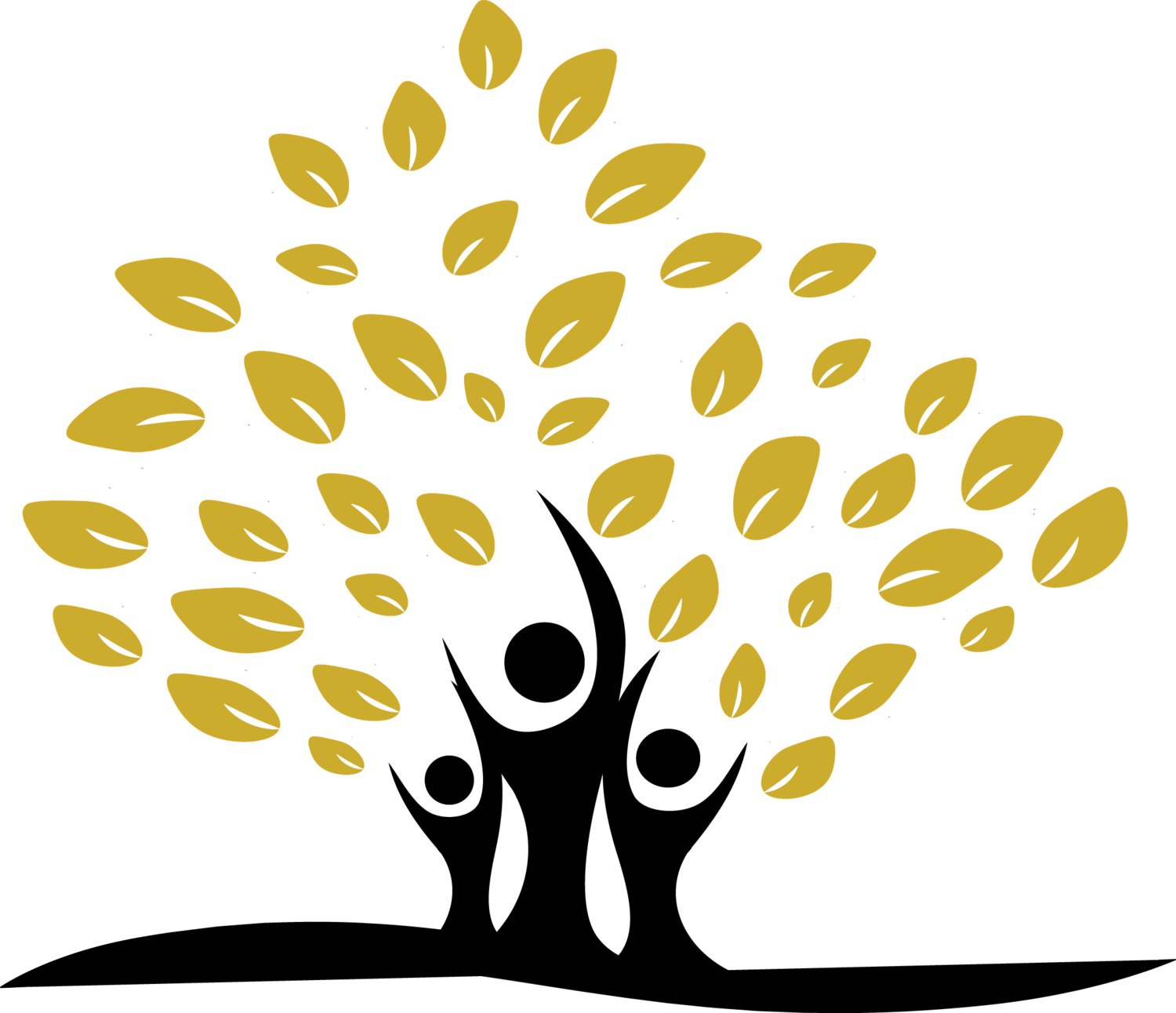 Nation Wealth Management 