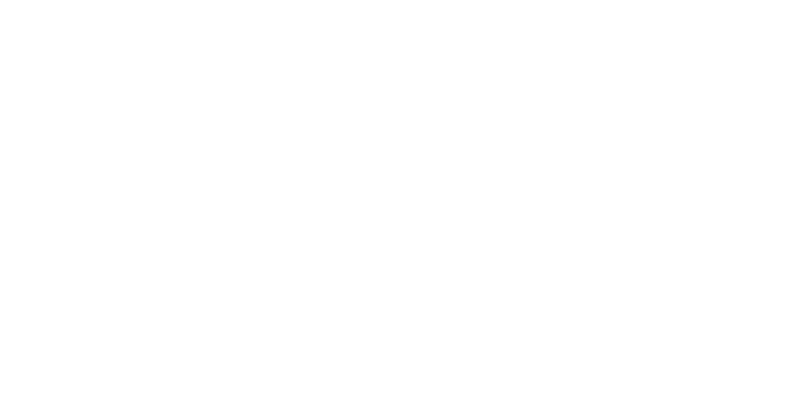 City Cat Vets