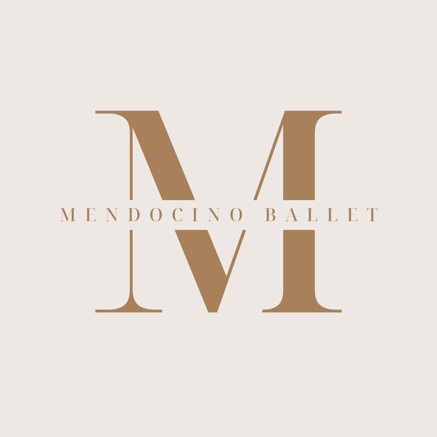 Classical Ballet Training & Dance Classes