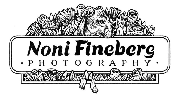 Noni Fineberg