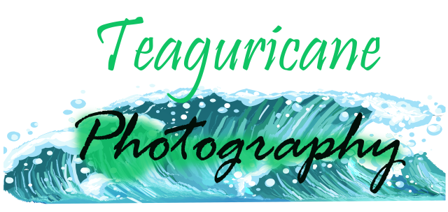 Teaguricane Photography