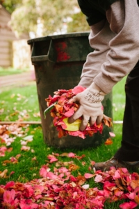 fall.jpg