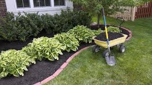 mulch.jpg