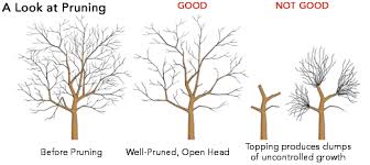 howto.jpg