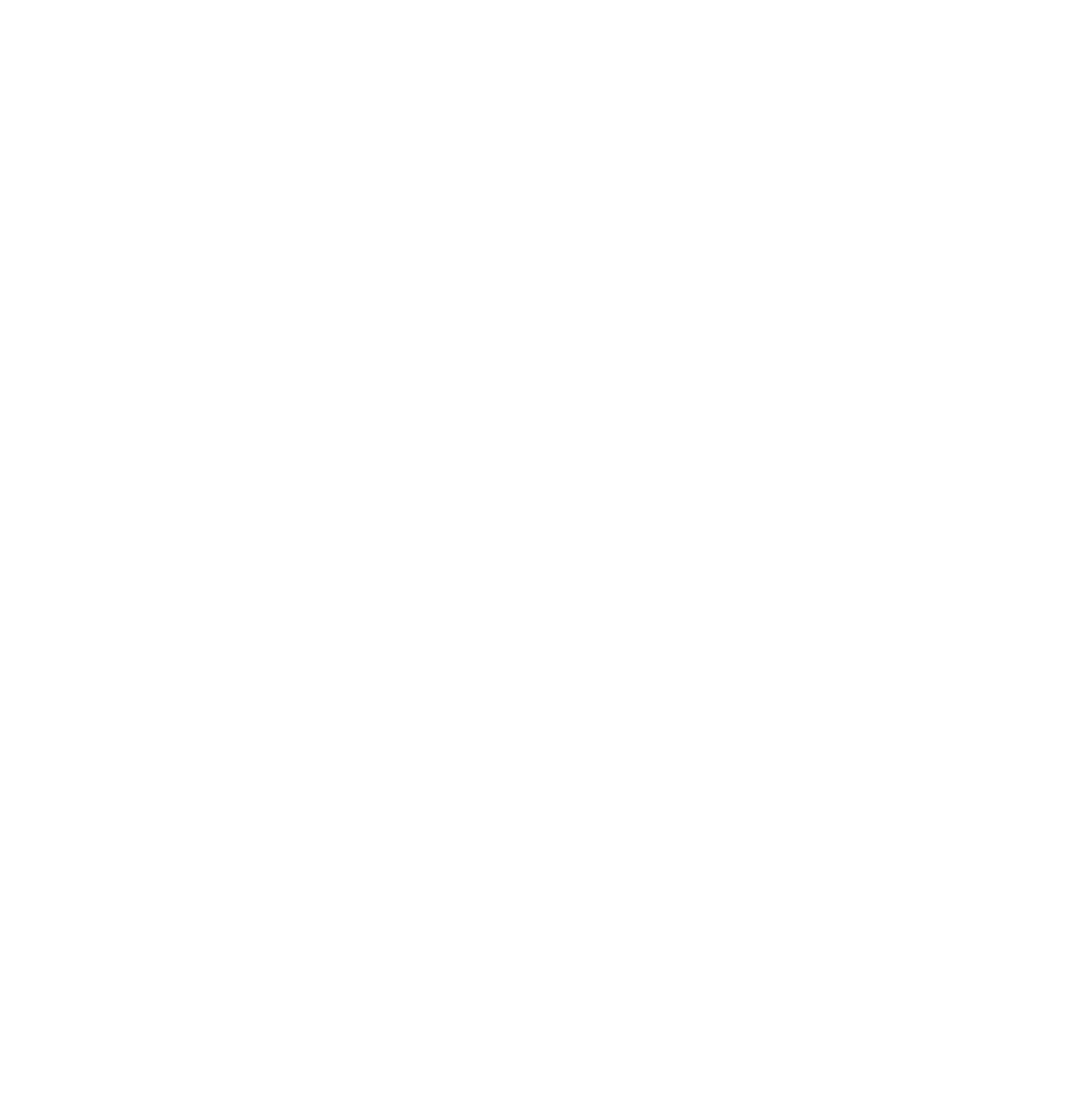 L'orchestre