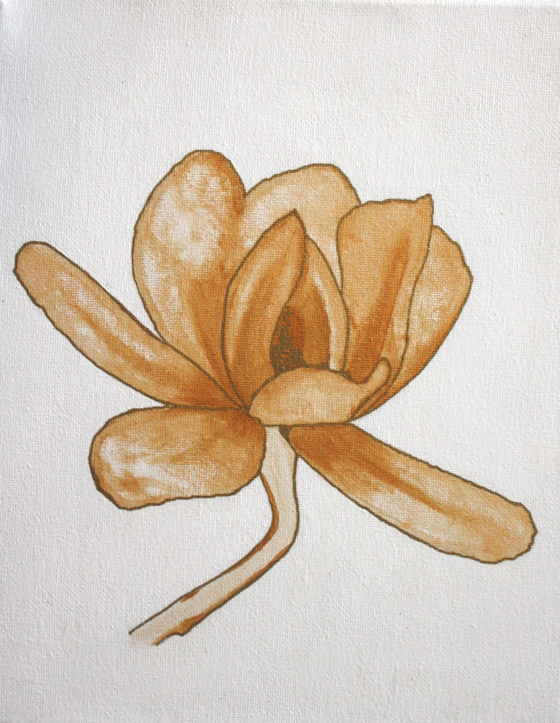 Gold Magnolia Floral Art Print Champagne Reid