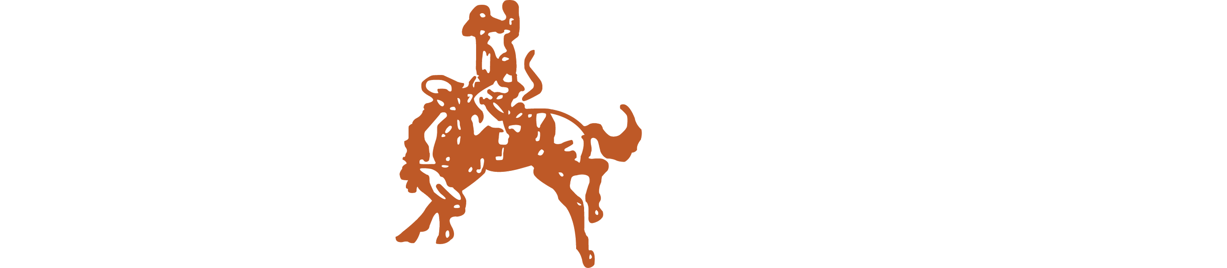 Texas Cowboys