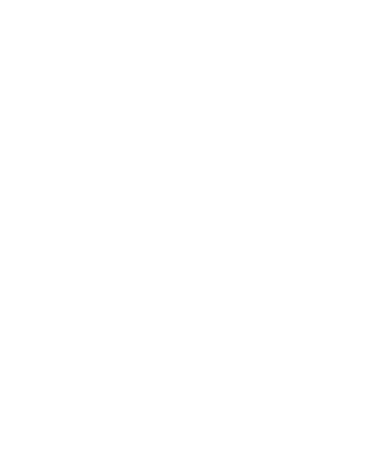 SPINGARAGE LLC