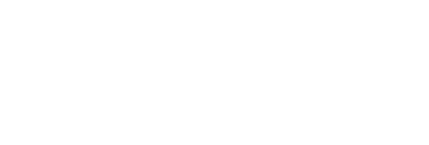 Maple Breeze Kennels - Bernedoodle