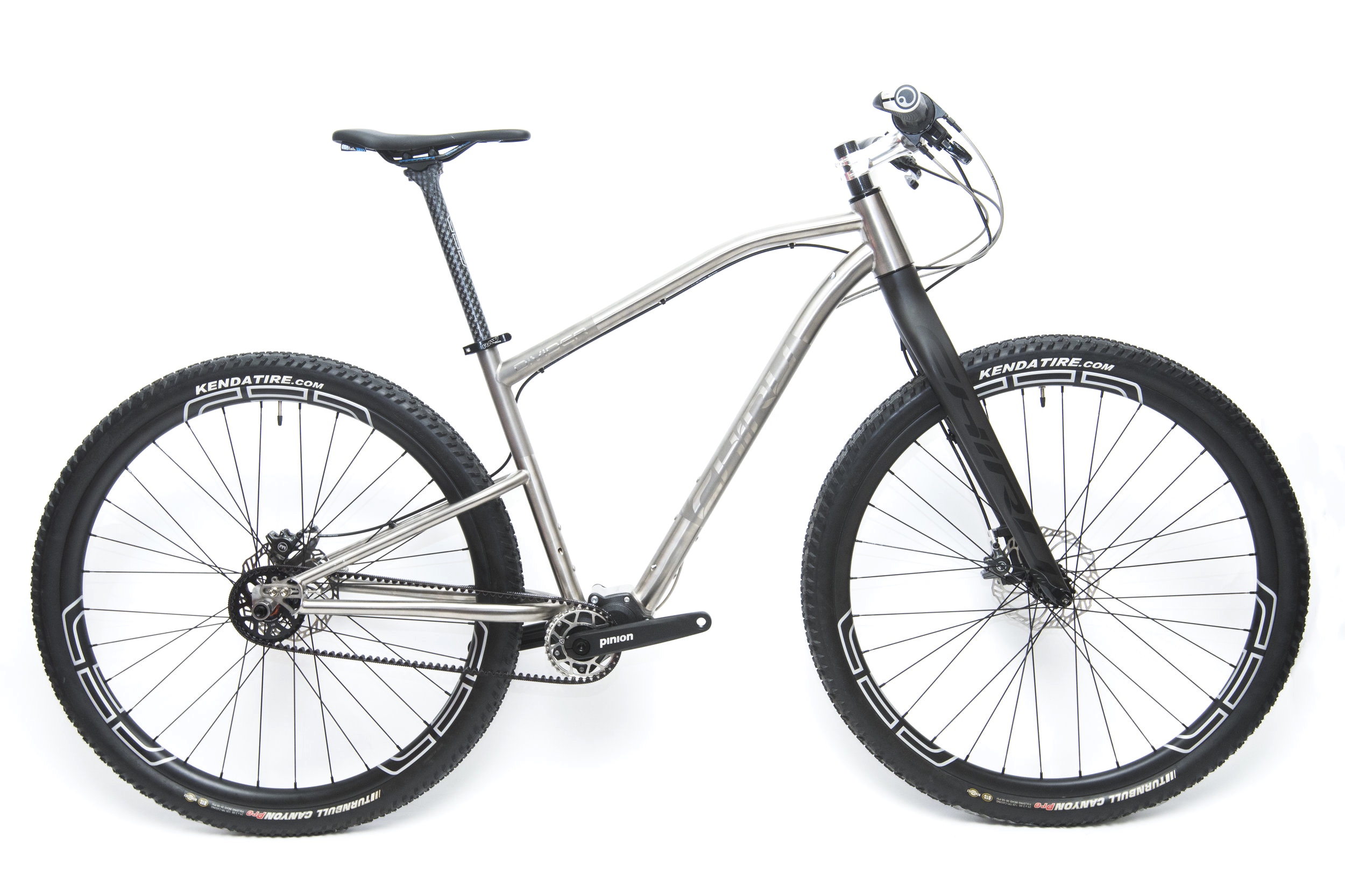 pinion bike frame