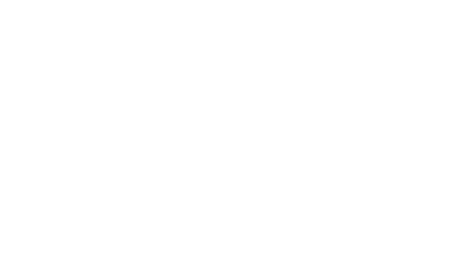 Elysian Weddings &amp; Events