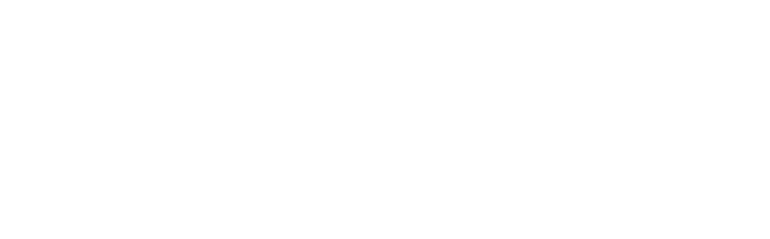 SUSAN SCHADT PRESS