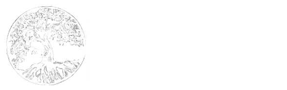 MV Options In Education