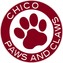 Chico Paws and Claws