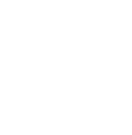 The Madroño Foundation