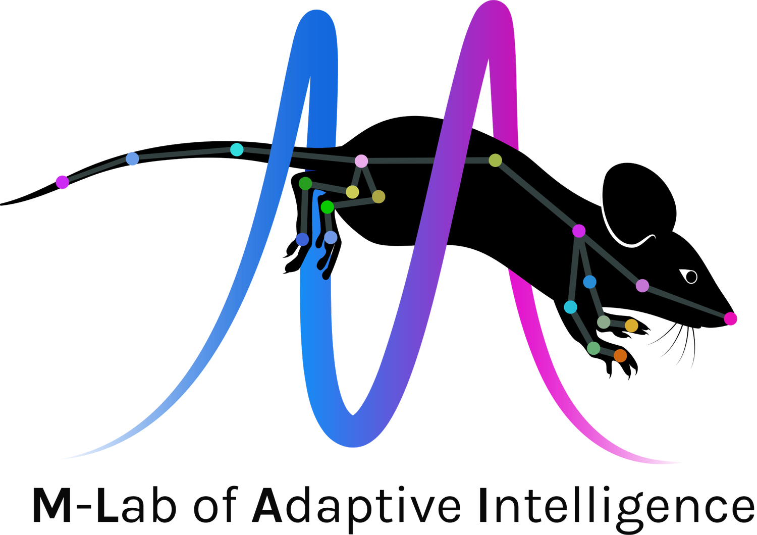 The M-Lab of Adaptive Intelligence