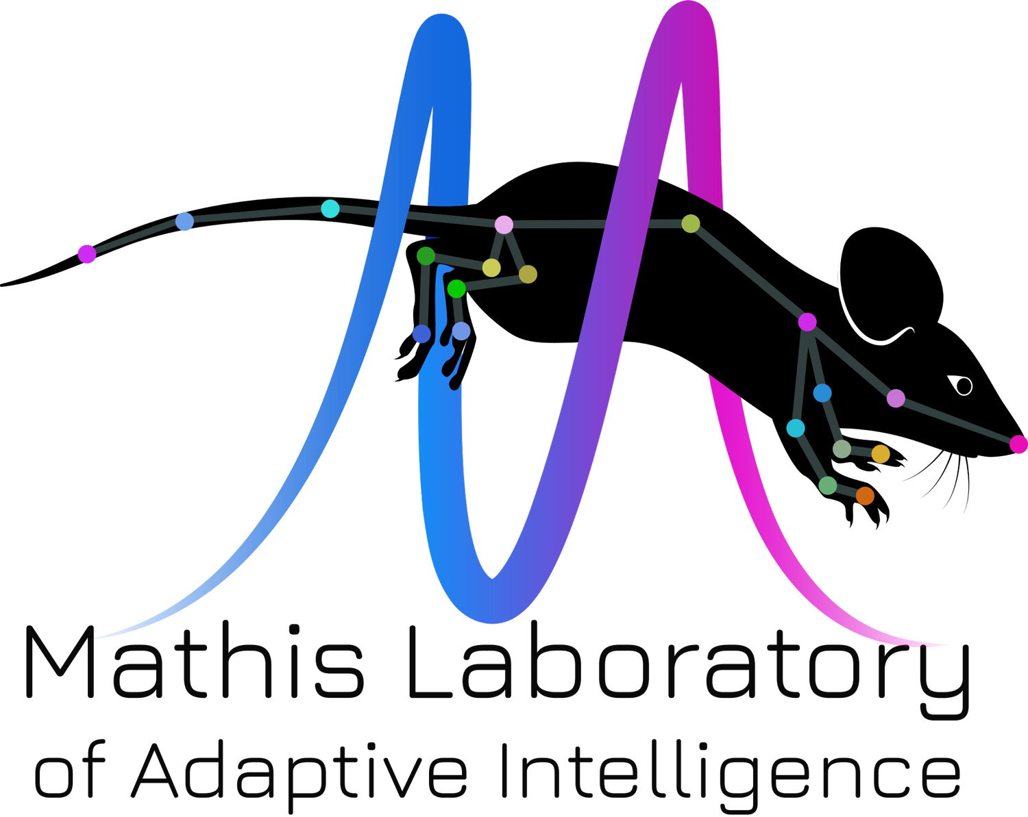 The Mathis Lab of Adaptive Intelligence