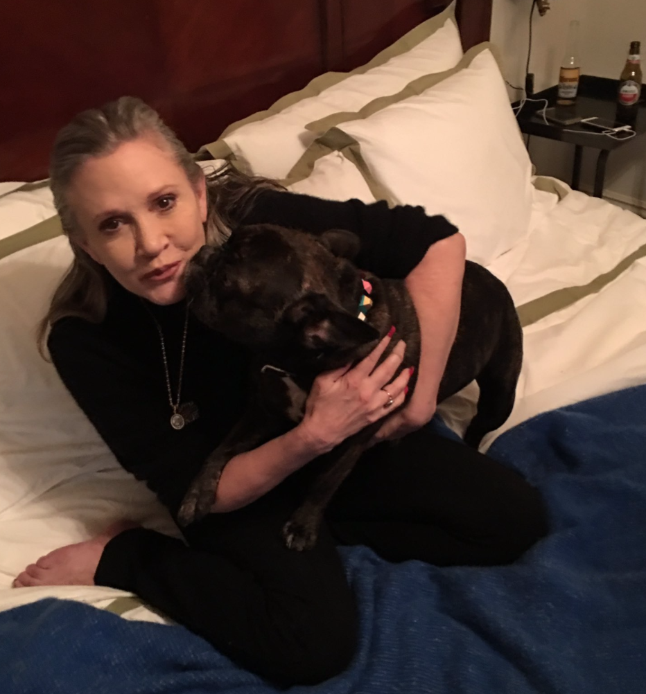 与她的狗,加里的Carrie Fisher