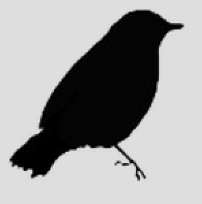 屏幕截图2018-11-02 at 1.53.25 PM.png