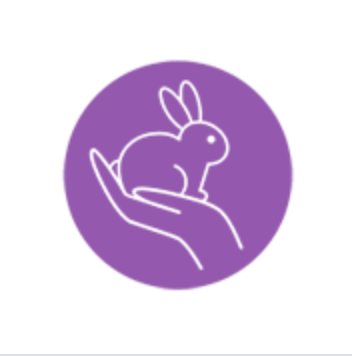 屏幕截图2018-11-08 at 4.22.00 PM.png