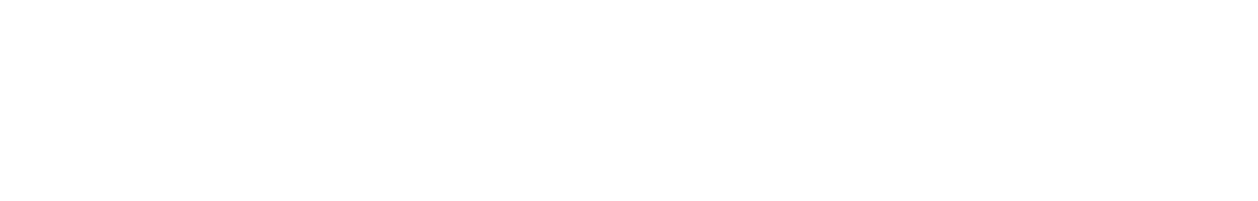 ss full width banner.png