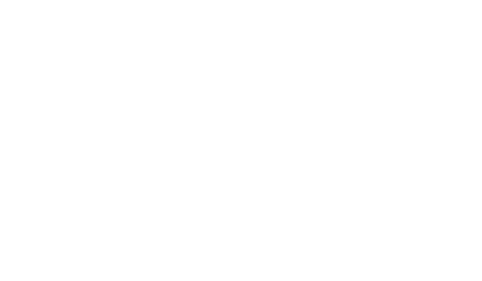 Salt Financial Group