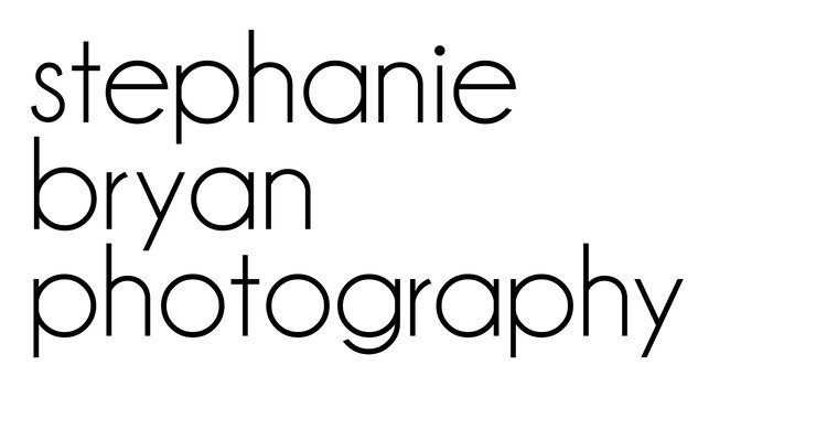 Stephanie Bryan Photography - Raleigh Newborn and Family Photographer