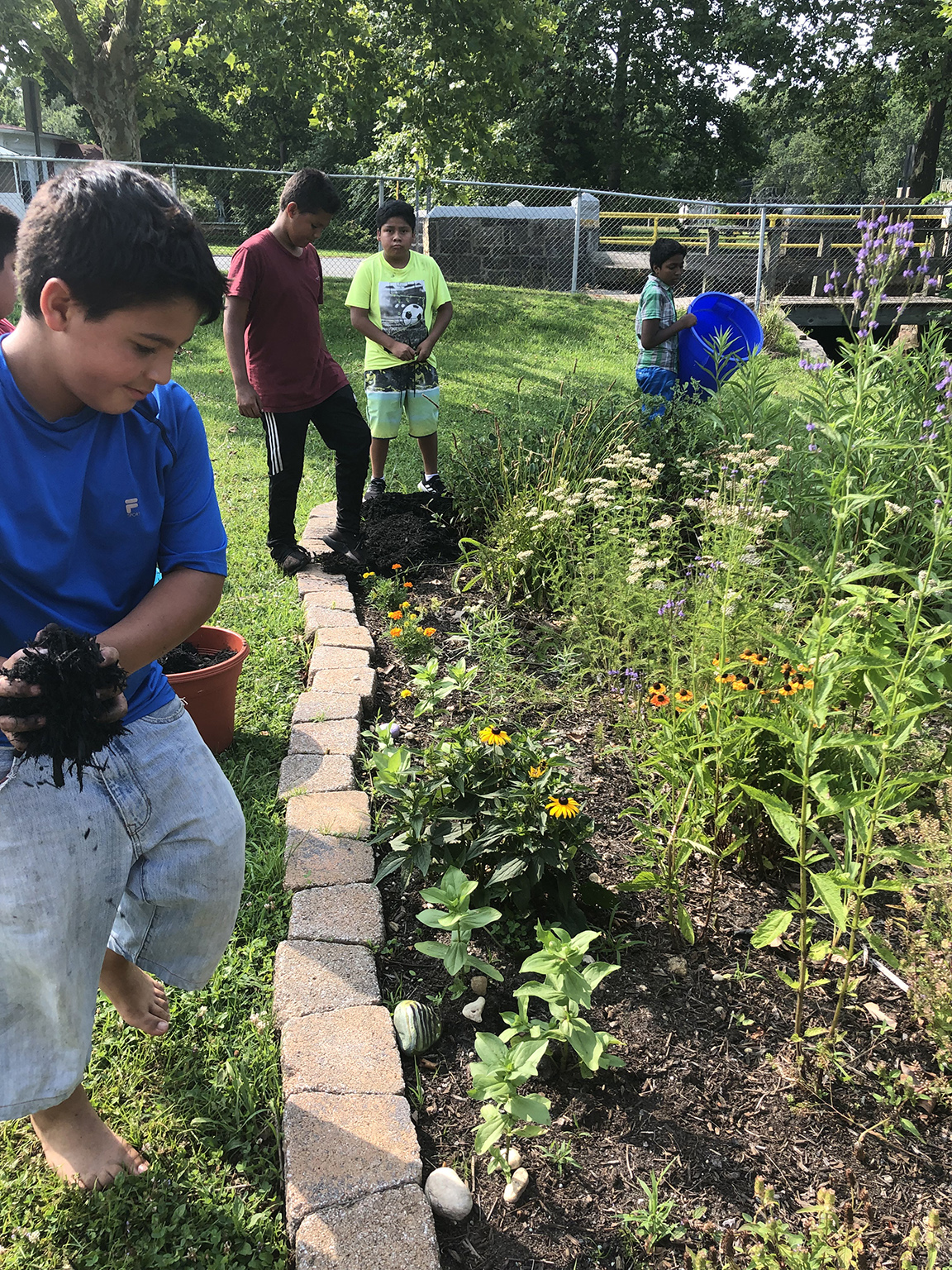 Master gardeners work with students at Peace Pilgrim Park