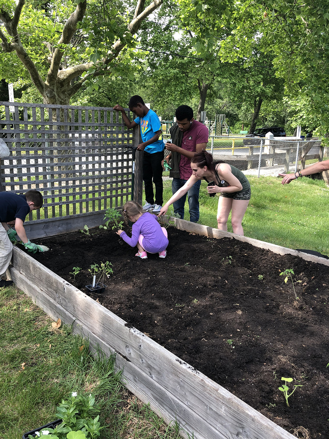 Master gardeners work with students at Peace Pilgrim Park