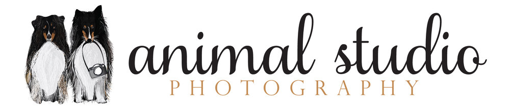 Animal Studio Photography