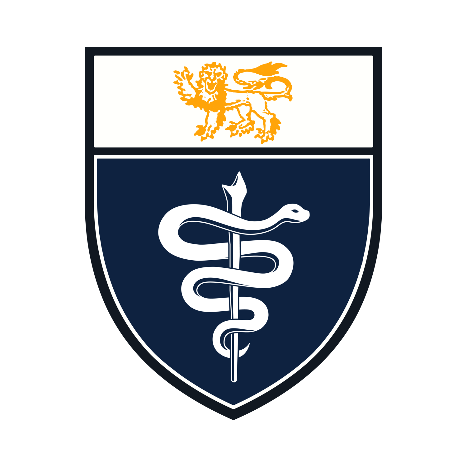 NUS Medical Society | National University of Singapore