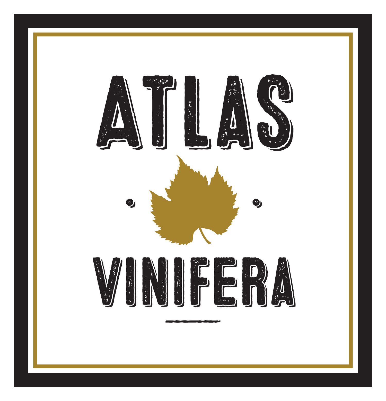 Atlas Vinifera