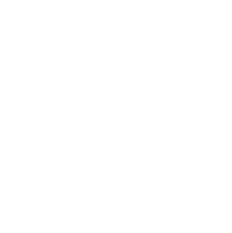 scholarship_element.png