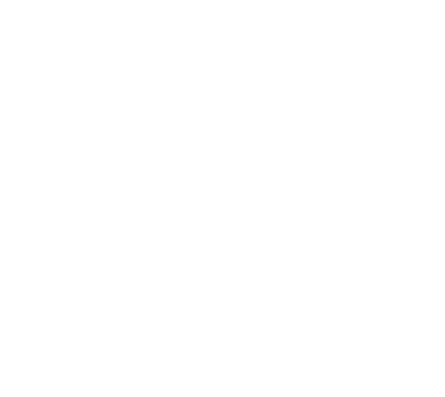 Chanda Chevannes