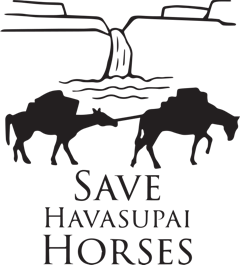 SAVE Havasupai Horses