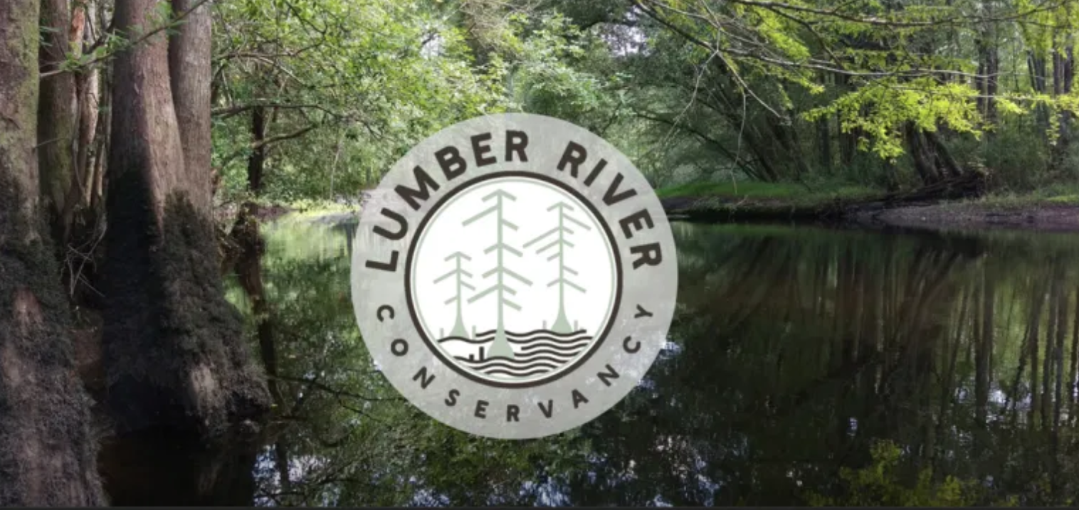 有关木材河保护的信息可以在lumberriverconservancy网站上找到.org.