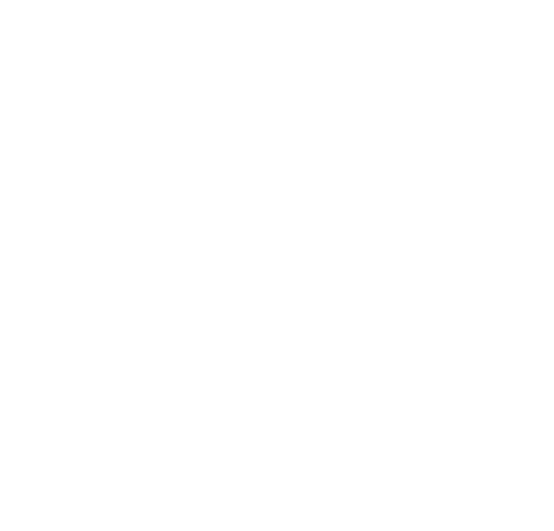 THE GUN E9