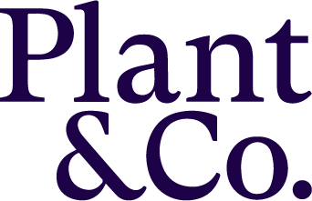 Plant &amp; Co. Law Office