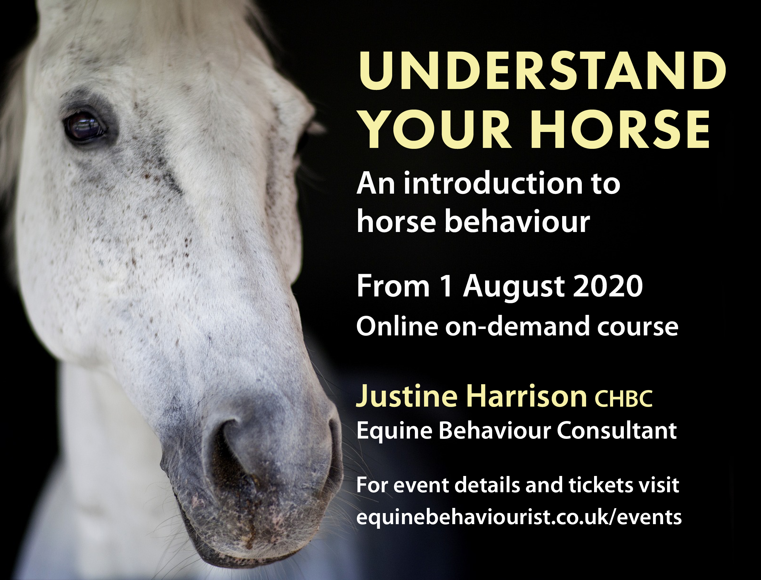 UNDERSTAND YOUR HORSE – Horse behaviour online course