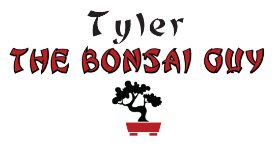 Tyler The Bonsai Guy