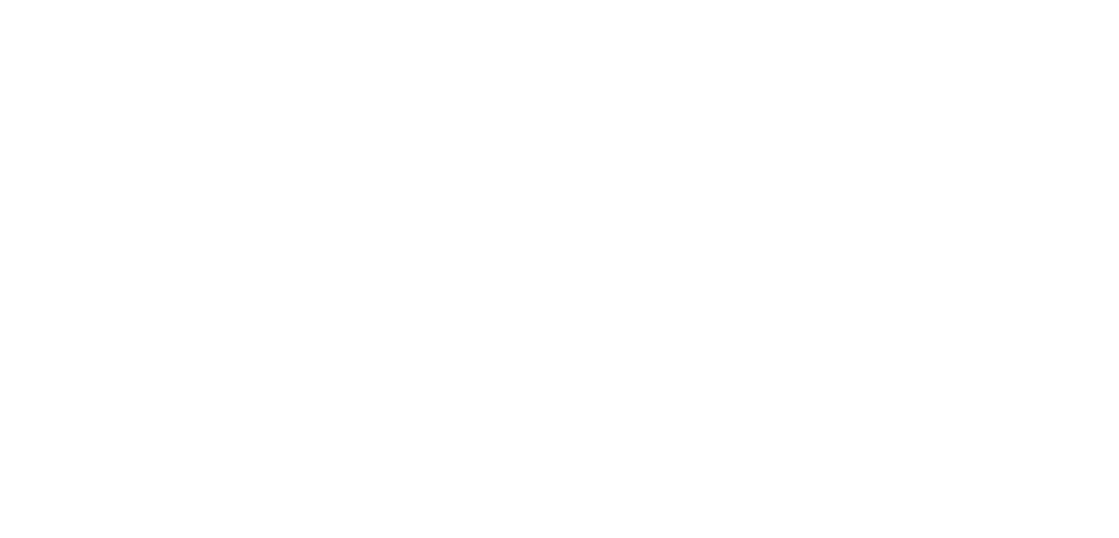 General Interactive Co.