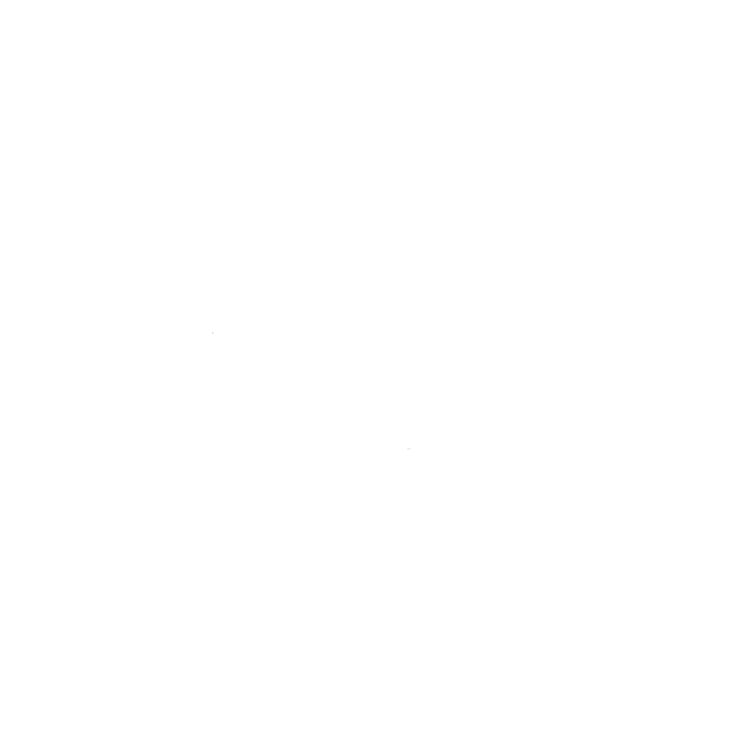 Kimberly Mitchell Dressage