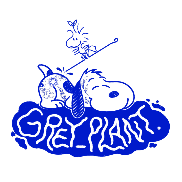 Grey Plant