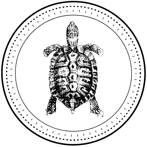 Tortoise & Plume