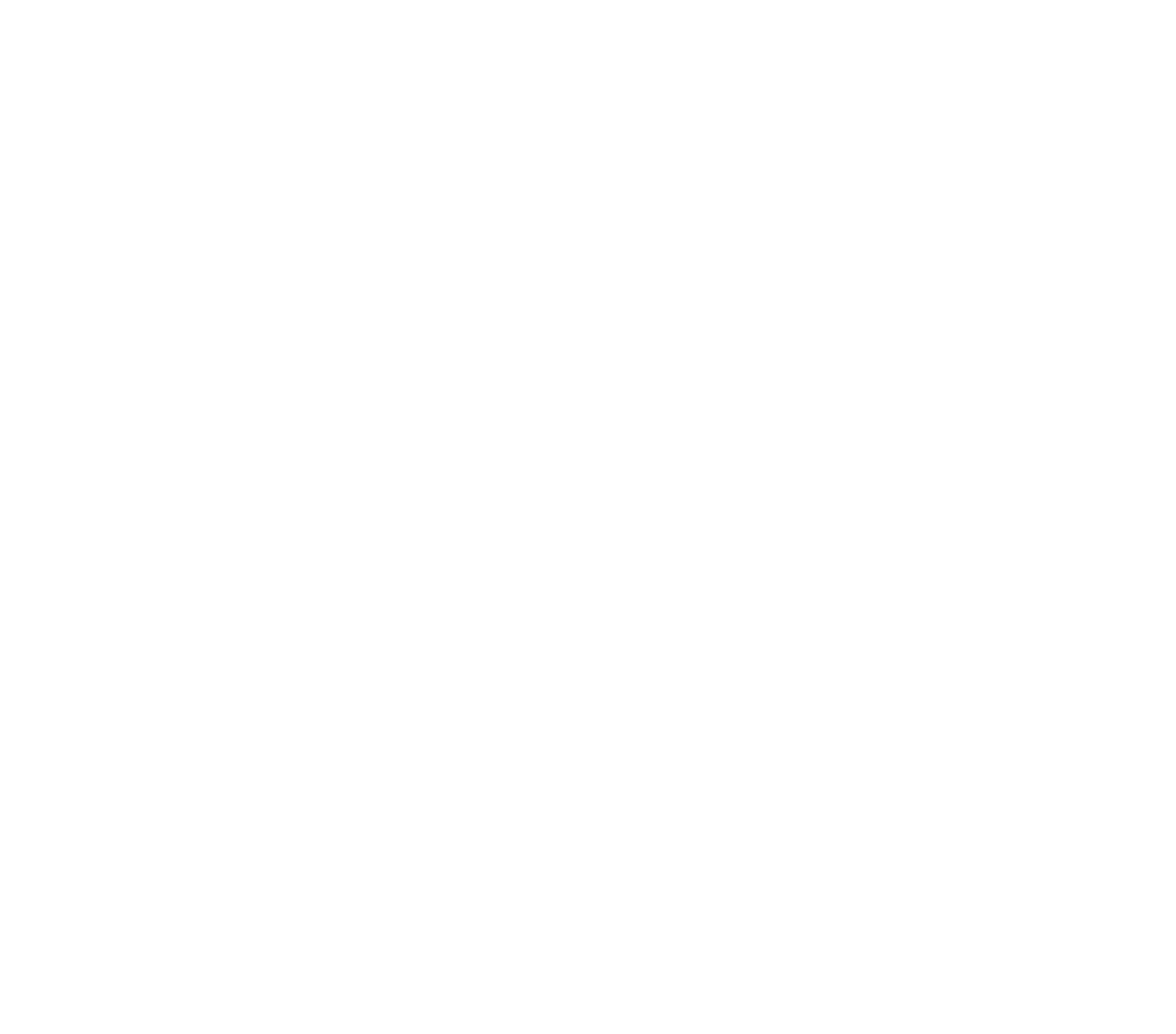 Connor's Cause