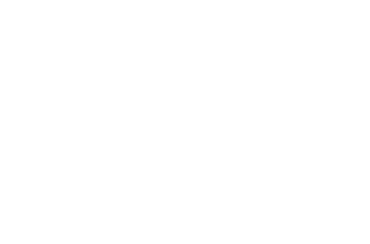 Johnny Z's Pizza