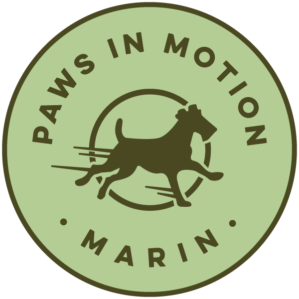 Paws In Motion Marin