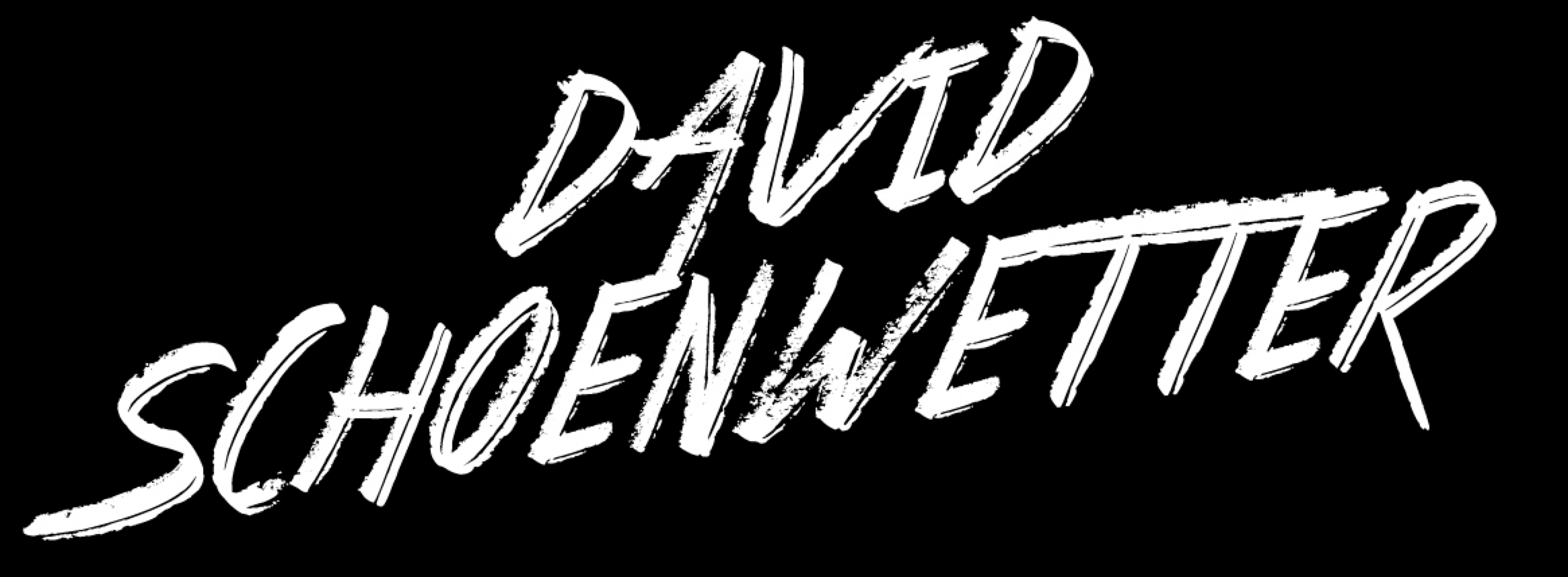 David Schoenwetter - NYC based Music Producer, Mixer &amp; Songwriter